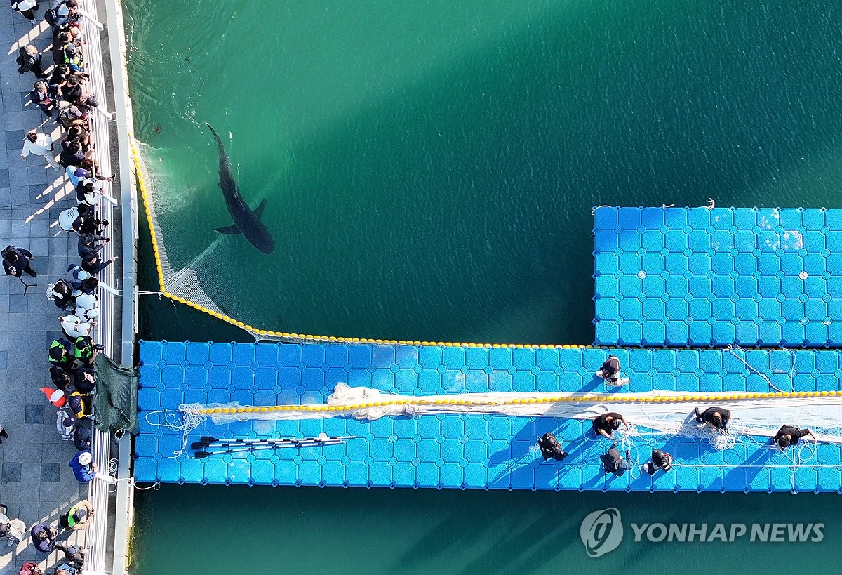 부캉이 3차 외해 유도작업